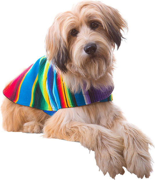 Dog Clothes - Handmade Dog Poncho from Authentic Mexican Blanket by  (Blue, Large)