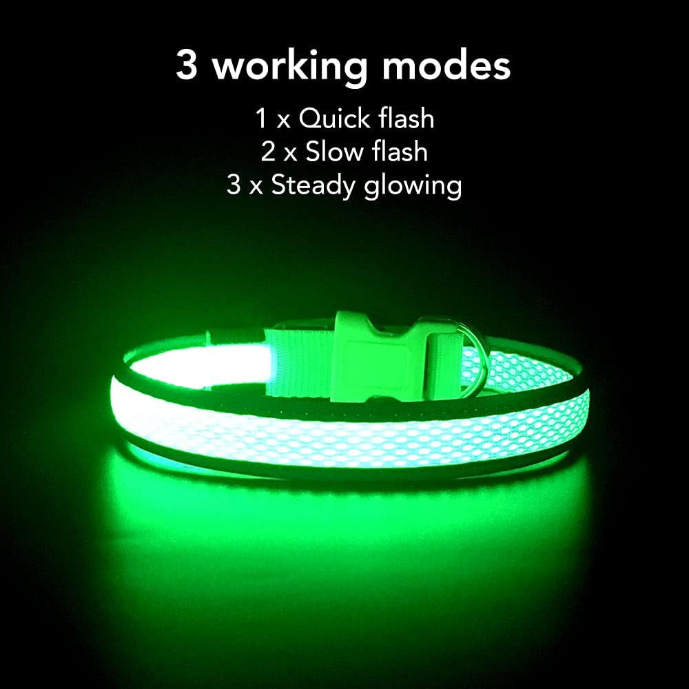 Light up Dog Collar, USB Rechargeable LED Puppy Collar Super Bright Adjustable Glowing Dog Lights for Night Walking (Green, Small)