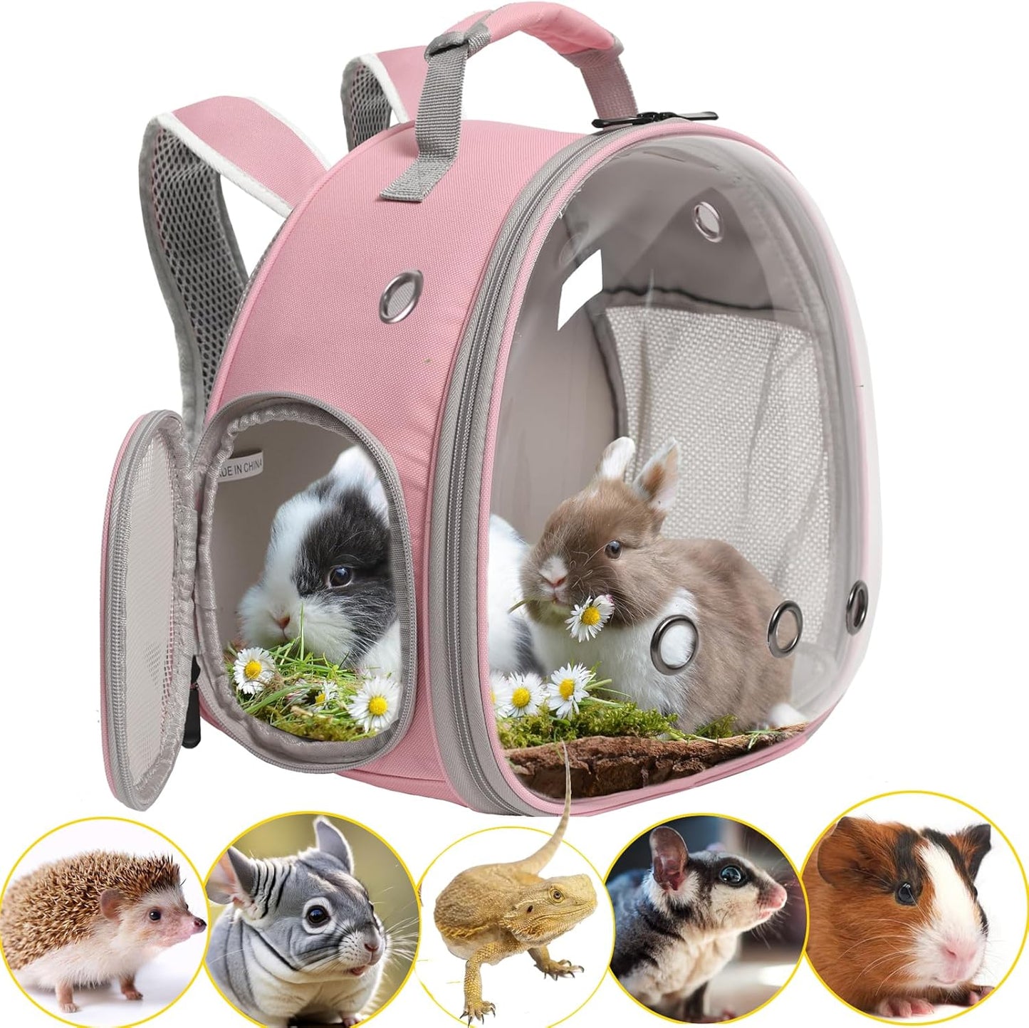 Guinea Pig Backpack Carrier, Reptile Outdoor Used,Bearded Dragon Carrier Backpack with Clear Bubble Window,Small Animal Travel Backpack for Hedgehog Rat Parrot, Airline Approved (Grey, Backpack)