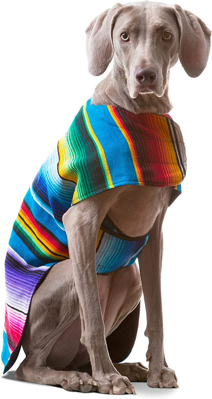 Dog Clothes - Handmade Dog Poncho from Authentic Mexican Blanket by  (Blue, Large)