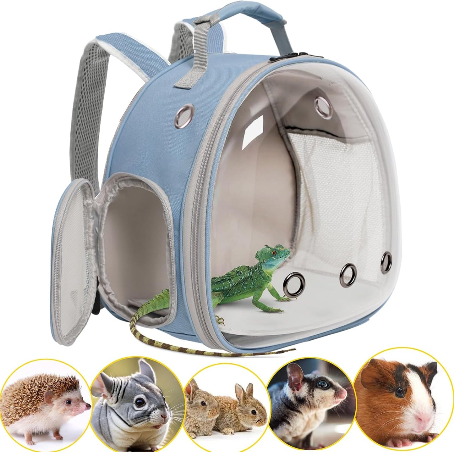 Guinea Pig Backpack Carrier, Reptile Outdoor Used,Bearded Dragon Carrier Backpack with Clear Bubble Window,Small Animal Travel Backpack for Hedgehog Rat Parrot, Airline Approved (Grey, Backpack)