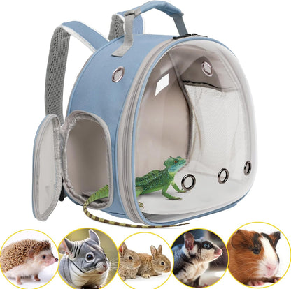 Guinea Pig Backpack Carrier, Reptile Outdoor Used,Bearded Dragon Carrier Backpack with Clear Bubble Window,Small Animal Travel Backpack for Hedgehog Rat Parrot, Airline Approved (Grey, Backpack)