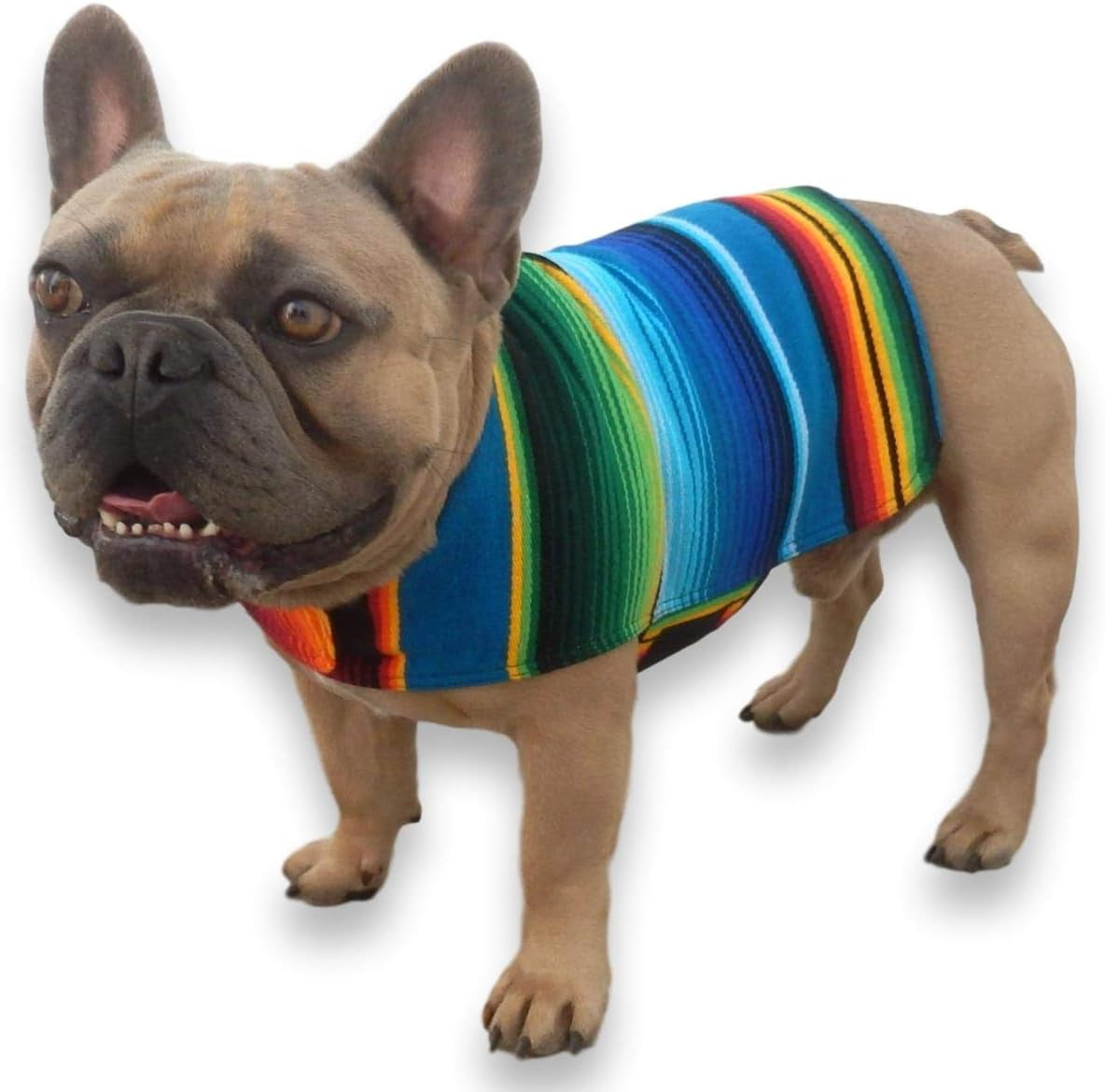 Dog Clothes - Handmade Dog Poncho from Authentic Mexican Blanket by  (Blue, Large)