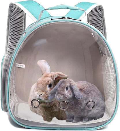 Guinea Pig Backpack Carrier, Reptile Outdoor Used,Bearded Dragon Carrier Backpack with Clear Bubble Window,Small Animal Travel Backpack for Hedgehog Rat Parrot, Airline Approved (Grey, Backpack)