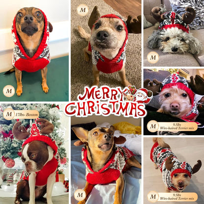 Dog Christmas Sweater, Warm Dog Sweater for Small Dogs Boy Girl with Reindeer Antler Hood, Warm Knit Winter Outfit with Leash Hole, Comfortable Pet Clothes for Holiday, Medium