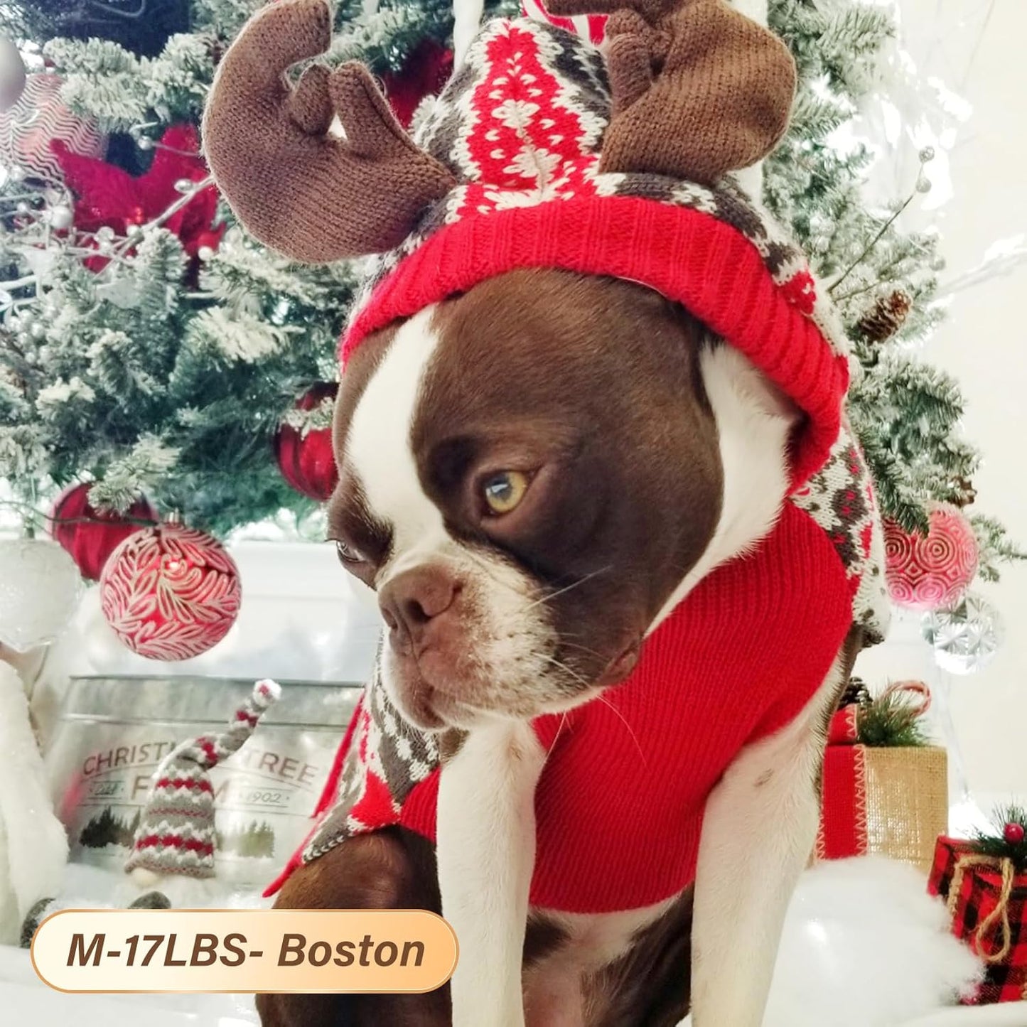 Dog Christmas Sweater, Warm Dog Sweater for Small Dogs Boy Girl with Reindeer Antler Hood, Warm Knit Winter Outfit with Leash Hole, Comfortable Pet Clothes for Holiday, Medium