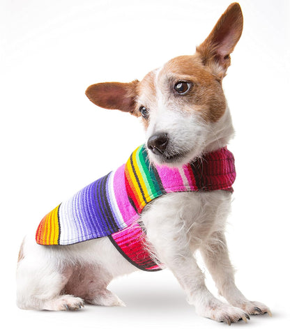 Dog Clothes - Handmade Dog Poncho from Authentic Mexican Blanket by  (Blue, Large)