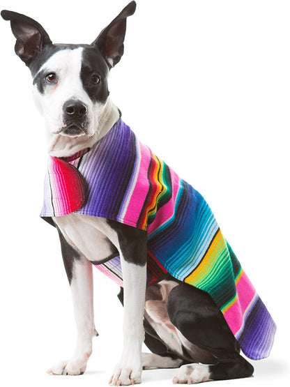 Dog Clothes - Handmade Dog Poncho from Authentic Mexican Blanket by  (Blue, Large)