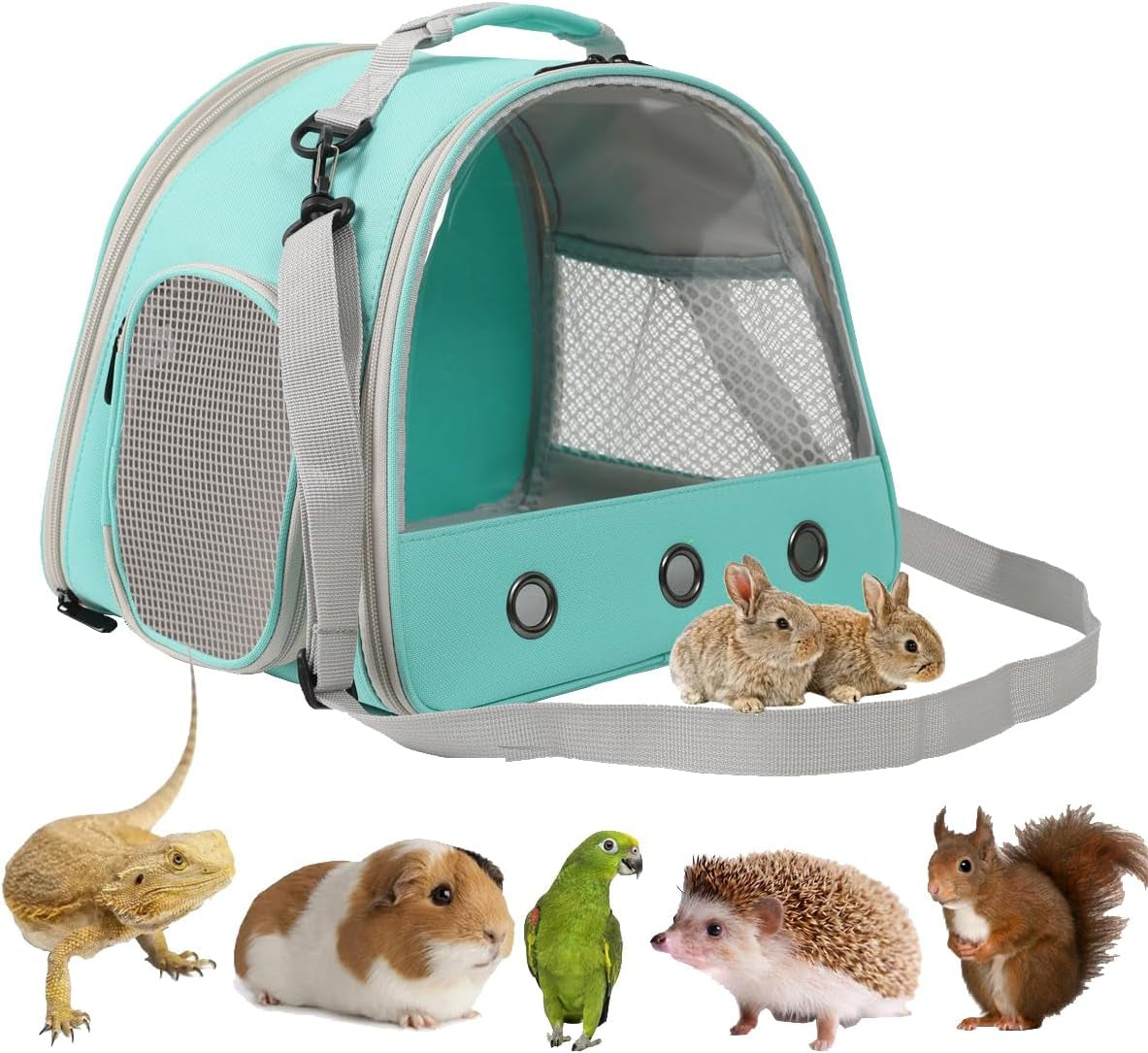 Guinea Pig Backpack Carrier, Reptile Outdoor Used,Bearded Dragon Carrier Backpack with Clear Bubble Window,Small Animal Travel Backpack for Hedgehog Rat Parrot, Airline Approved (Grey, Backpack)