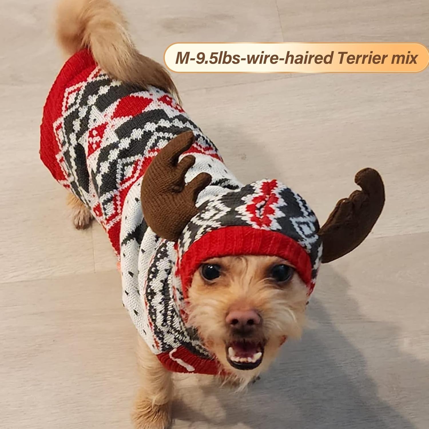 Dog Christmas Sweater, Warm Dog Sweater for Small Dogs Boy Girl with Reindeer Antler Hood, Warm Knit Winter Outfit with Leash Hole, Comfortable Pet Clothes for Holiday, Medium