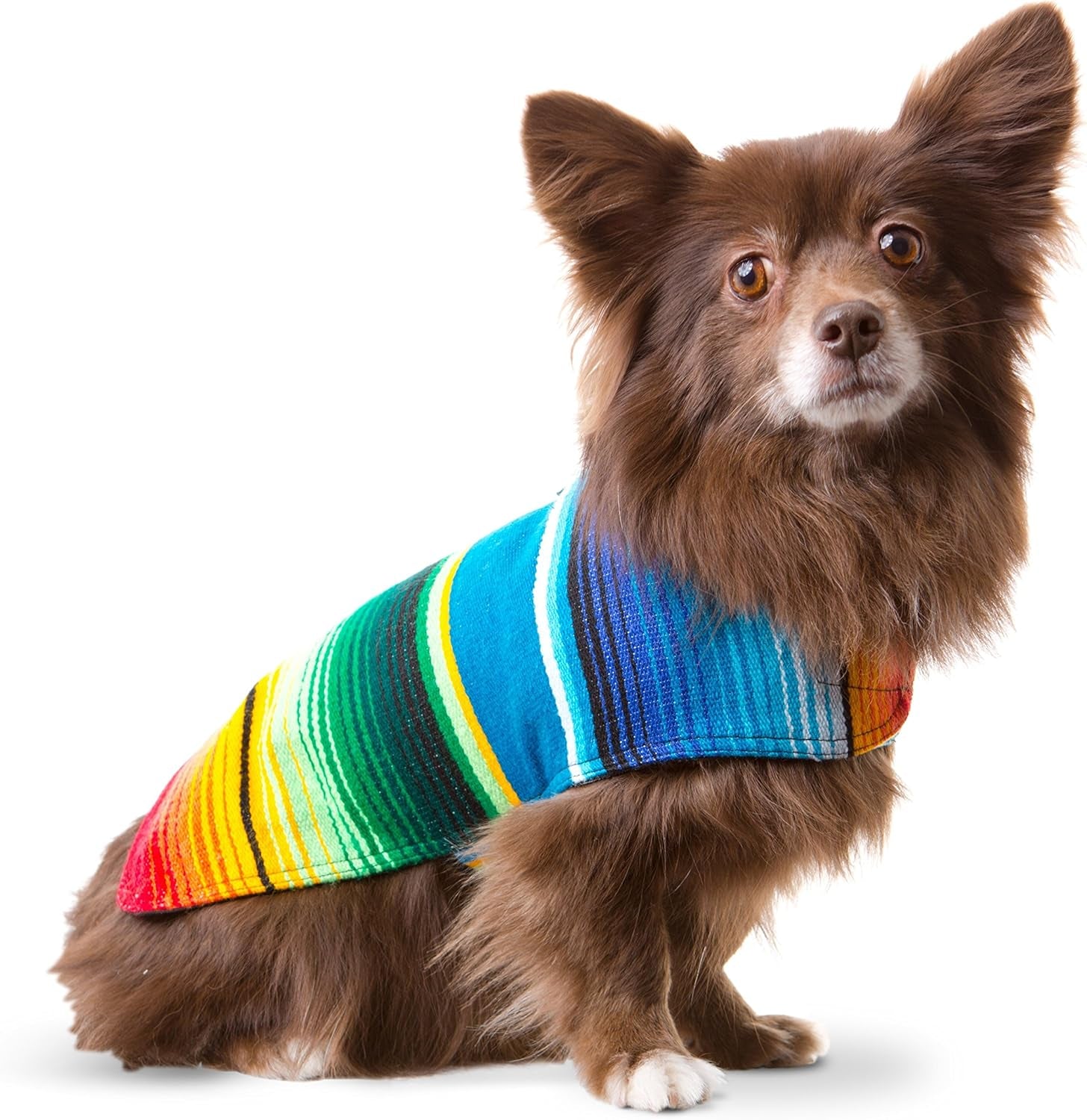 Dog Clothes - Handmade Dog Poncho from Authentic Mexican Blanket by  (Blue, Large)
