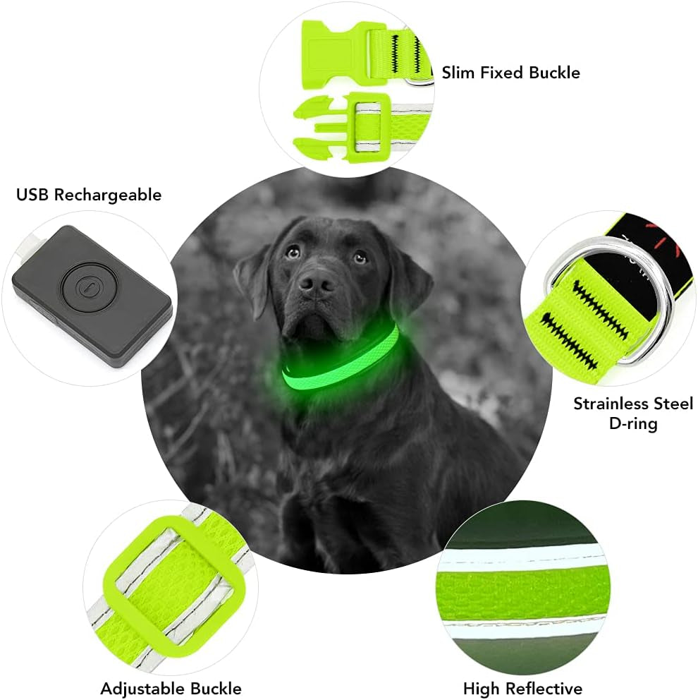 Light up Dog Collar, USB Rechargeable LED Puppy Collar Super Bright Adjustable Glowing Dog Lights for Night Walking (Green, Small)
