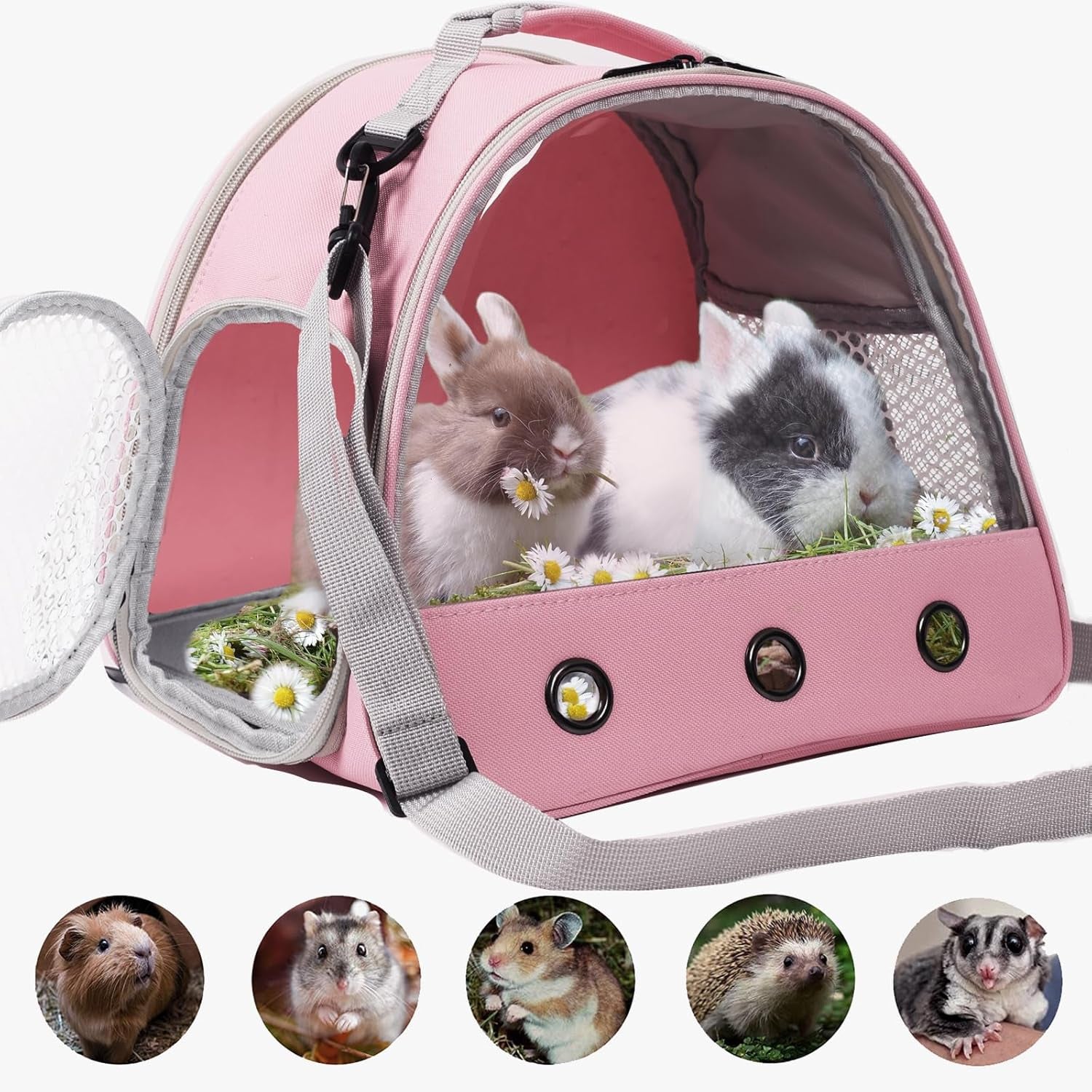 Guinea Pig Backpack Carrier, Reptile Outdoor Used,Bearded Dragon Carrier Backpack with Clear Bubble Window,Small Animal Travel Backpack for Hedgehog Rat Parrot, Airline Approved (Grey, Backpack)