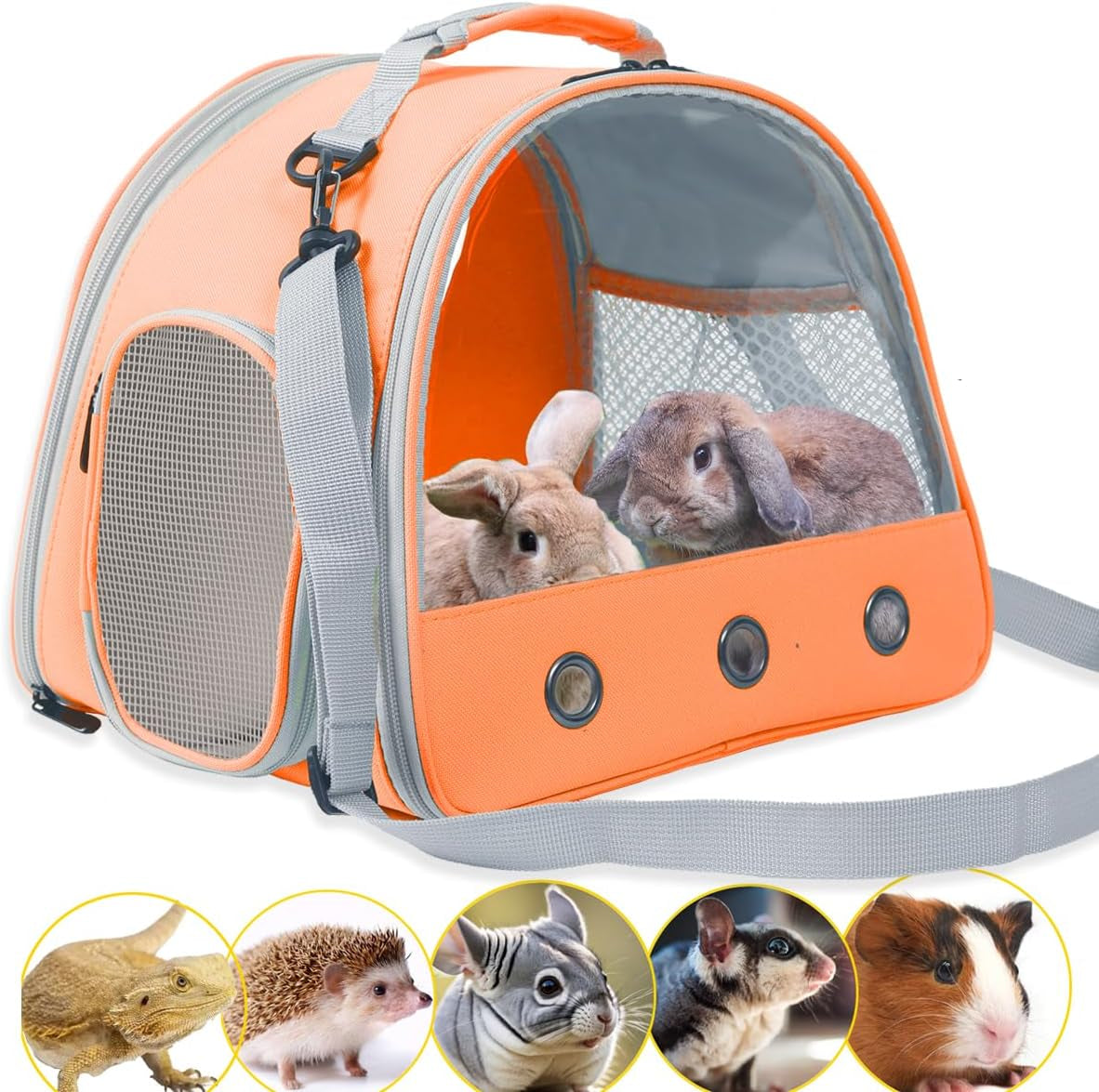 Guinea Pig Backpack Carrier, Reptile Outdoor Used,Bearded Dragon Carrier Backpack with Clear Bubble Window,Small Animal Travel Backpack for Hedgehog Rat Parrot, Airline Approved (Grey, Backpack)