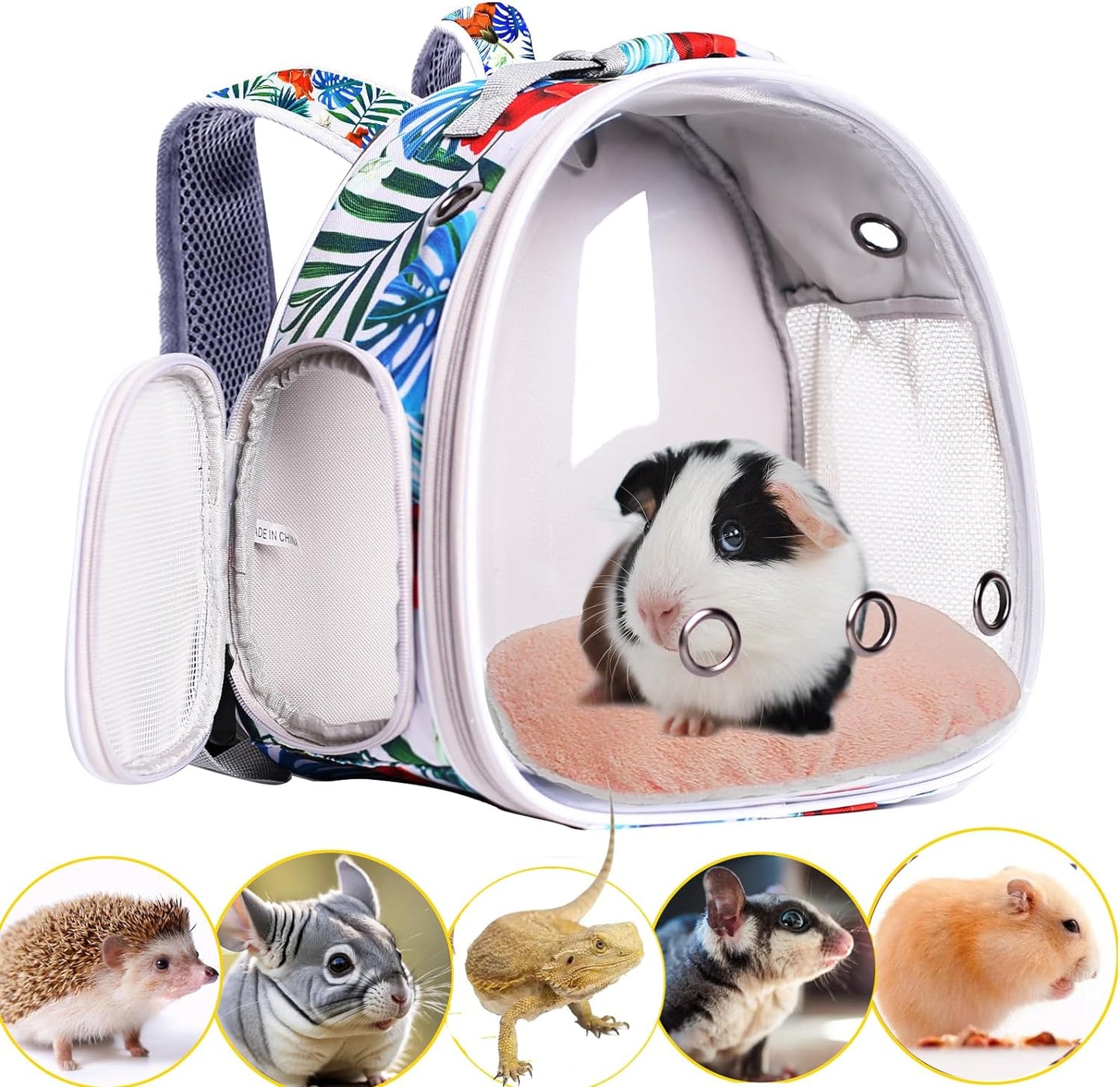 Guinea Pig Backpack Carrier, Reptile Outdoor Used,Bearded Dragon Carrier Backpack with Clear Bubble Window,Small Animal Travel Backpack for Hedgehog Rat Parrot, Airline Approved (Grey, Backpack)