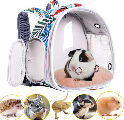 Guinea Pig Backpack Carrier, Reptile Outdoor Used,Bearded Dragon Carrier Backpack with Clear Bubble Window,Small Animal Travel Backpack for Hedgehog Rat Parrot, Airline Approved (Grey, Backpack)