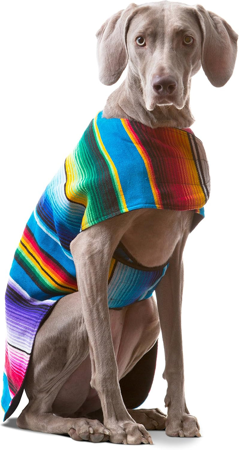 Dog Clothes - Handmade Dog Poncho from Authentic Mexican Blanket by  (Blue, Large)