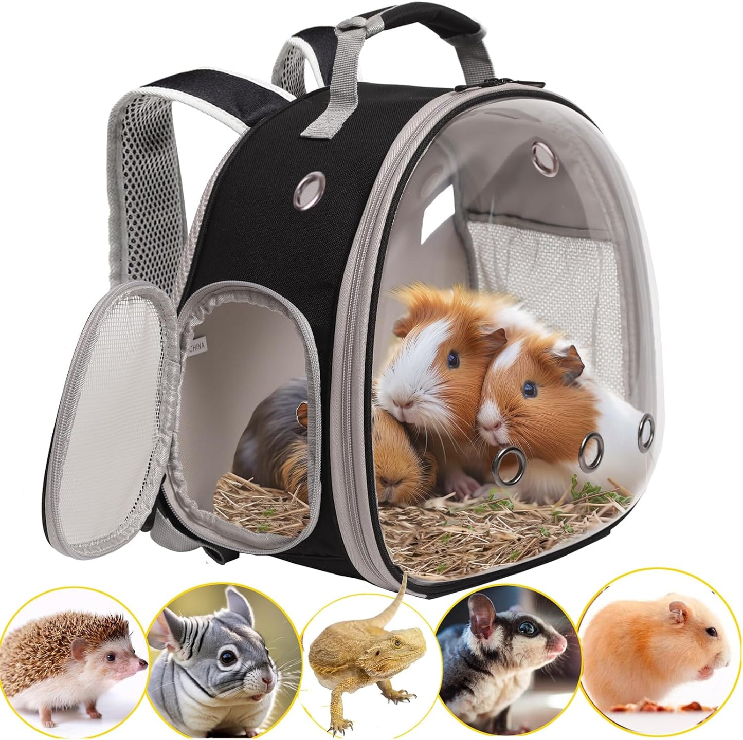 Guinea Pig Backpack Carrier, Reptile Outdoor Used,Bearded Dragon Carrier Backpack with Clear Bubble Window,Small Animal Travel Backpack for Hedgehog Rat Parrot, Airline Approved (Grey, Backpack)