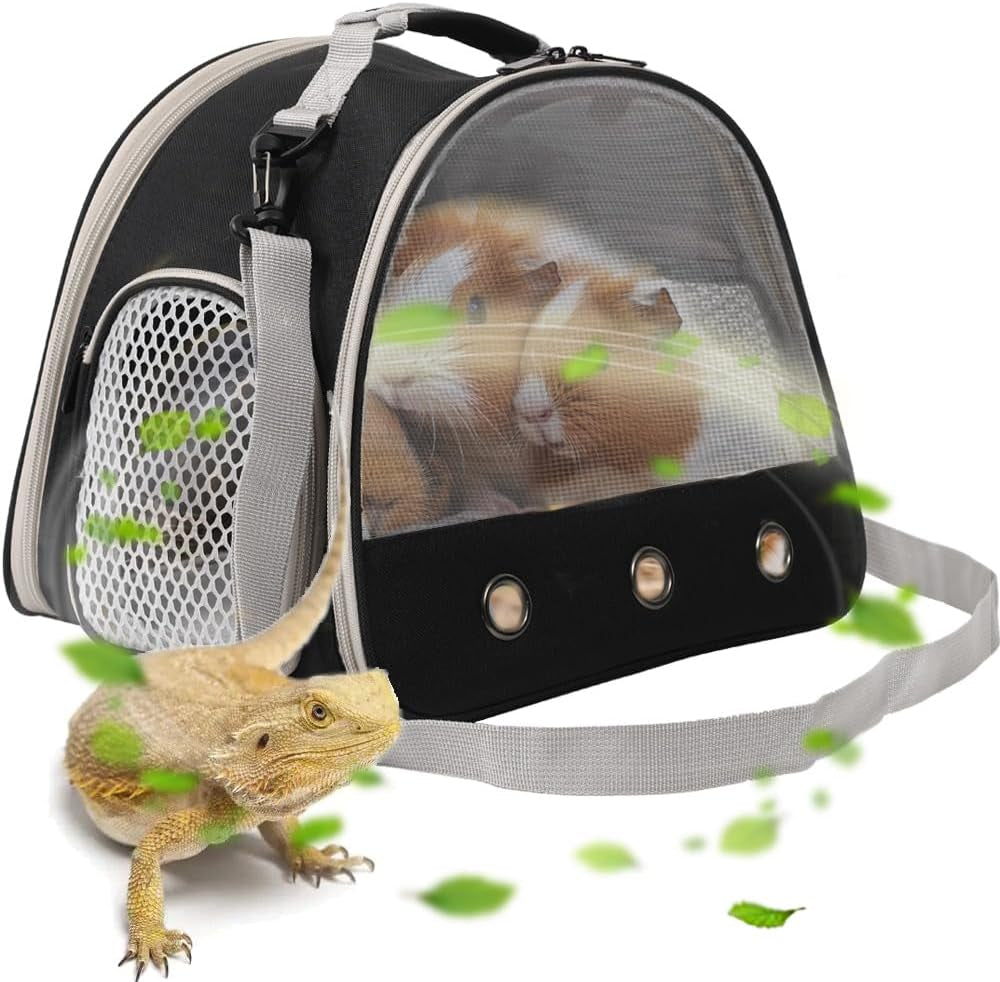 Guinea Pig Backpack Carrier, Reptile Outdoor Used,Bearded Dragon Carrier Backpack with Clear Bubble Window,Small Animal Travel Backpack for Hedgehog Rat Parrot, Airline Approved (Grey, Backpack)